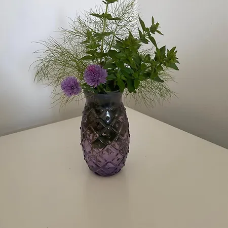 Lavender *